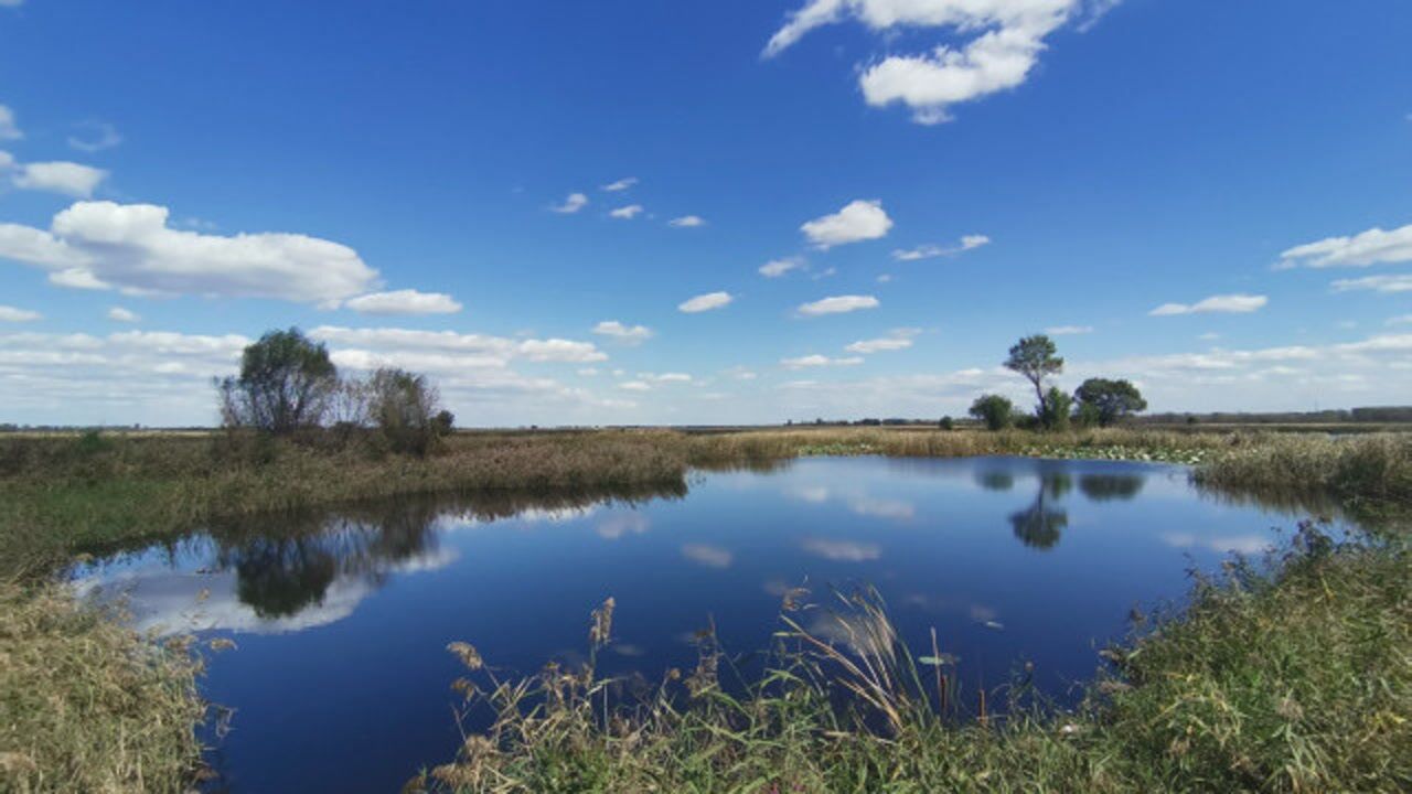 带您走进沈阳仙子湖自然保护区