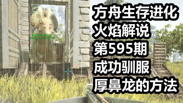 方舟生存进化 火焰解说 第595期 成功驯服厚鼻龙的方法