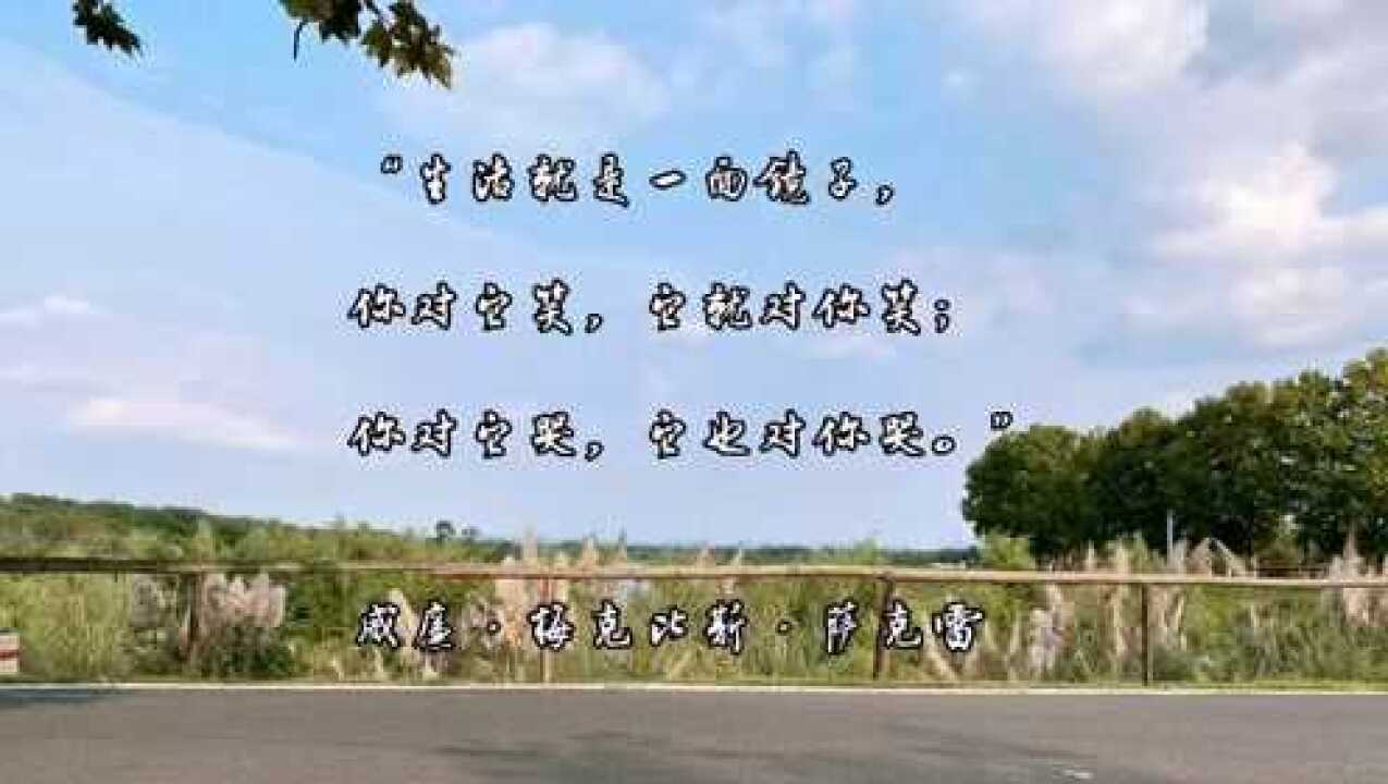 励志文案生活就是一面镜子你对它笑它就对你笑