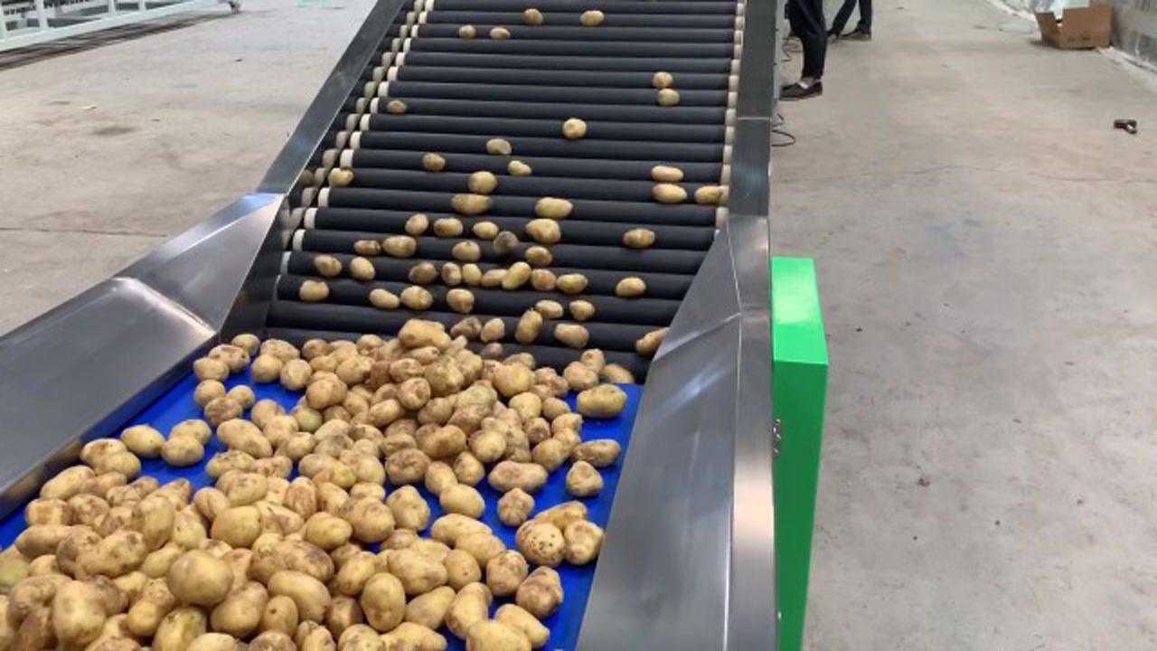 土豆分级机 重量筛选机