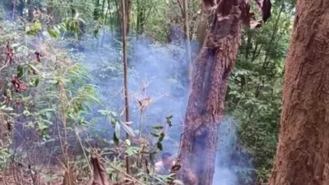 上山发现道家法器雷击木,这东西可遇不可求!