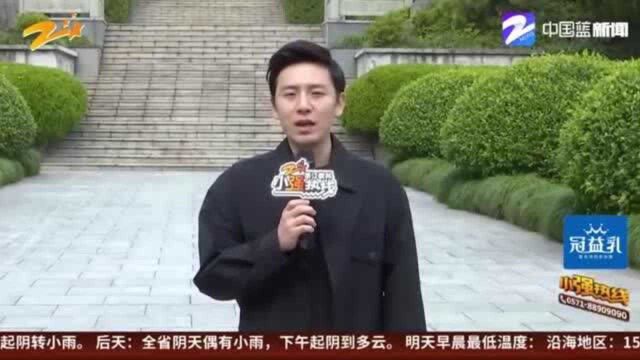 女儿古稀之年寻找父亲坟墓:张兆年烈士迁入南山陵园