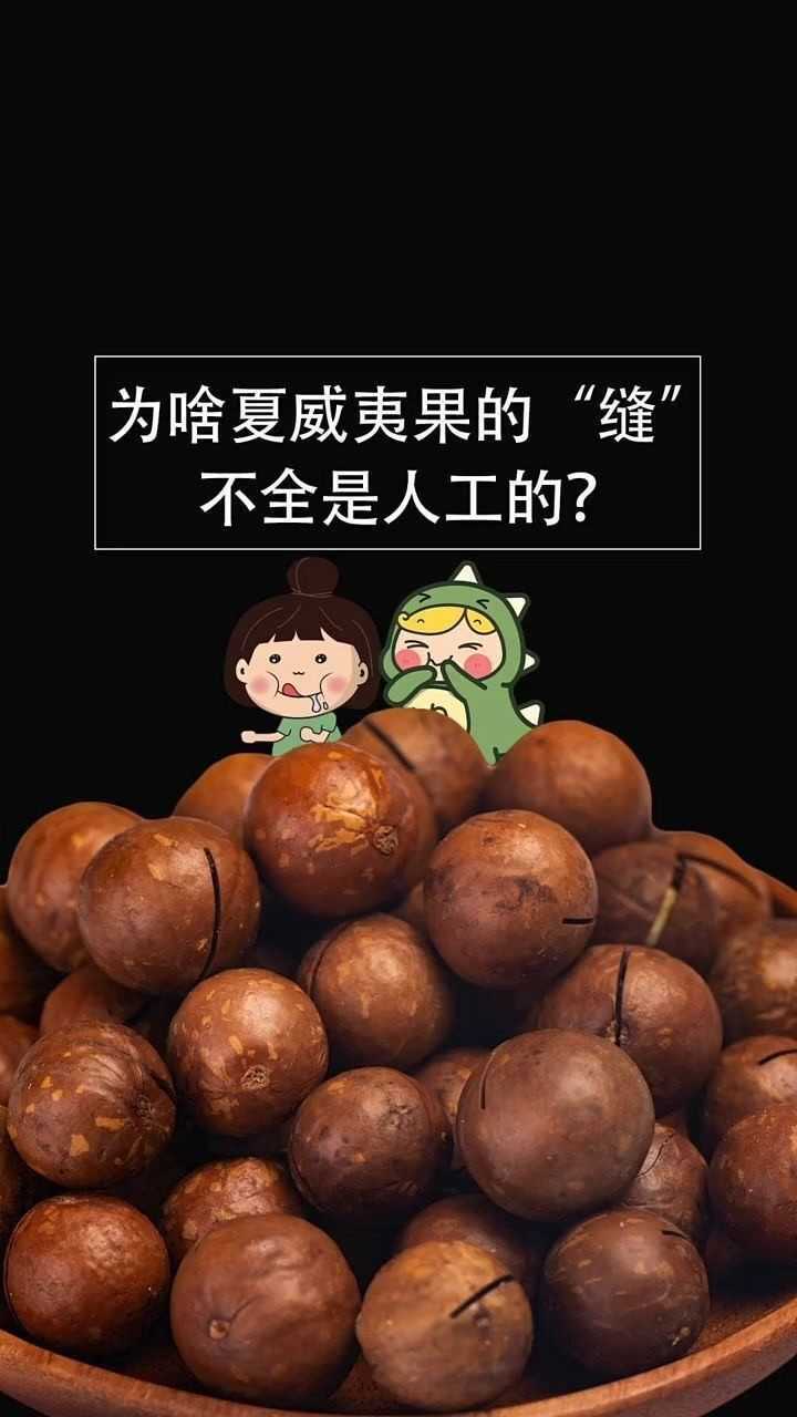 為什麼夏威夷果的縫不全是人工的?_騰訊視頻