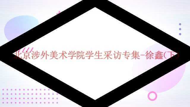 北京涉外美术学院学生采访专集徐鑫(下)