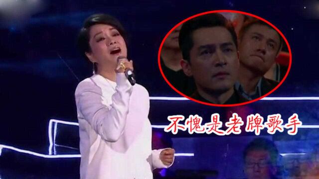 毛阿敏歌声太感人了!演唱《琅琊榜》主题曲,台下胡歌都听泪目了