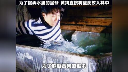 简直太精彩了!_高清1080P在线观看平台_腾讯视频
