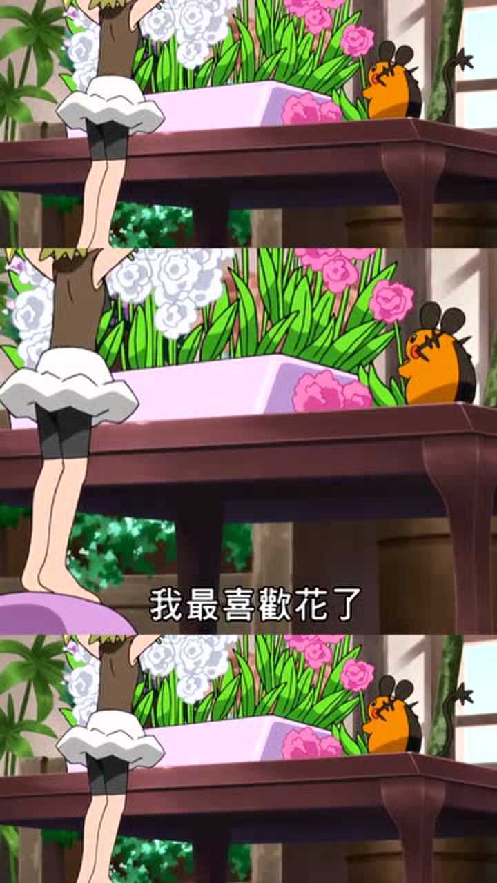 动漫小智和皮卡丘一起学插花进行了对比