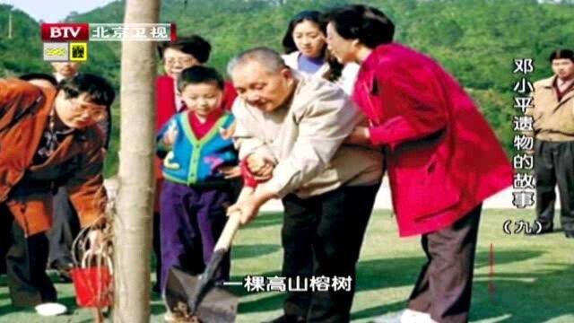 1992年,小平同志在深圳亲手种下高山榕树,相机记录下历史一刻