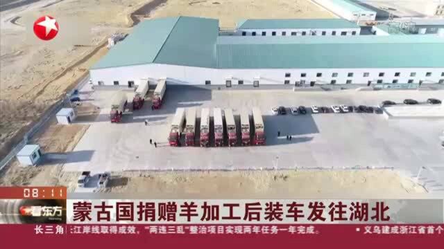 蒙古国捐赠羊加工后装车发往湖北