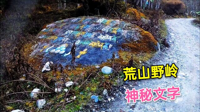 小伙穷游西藏,独自去往深山探险,一条小路上见到神秘文字