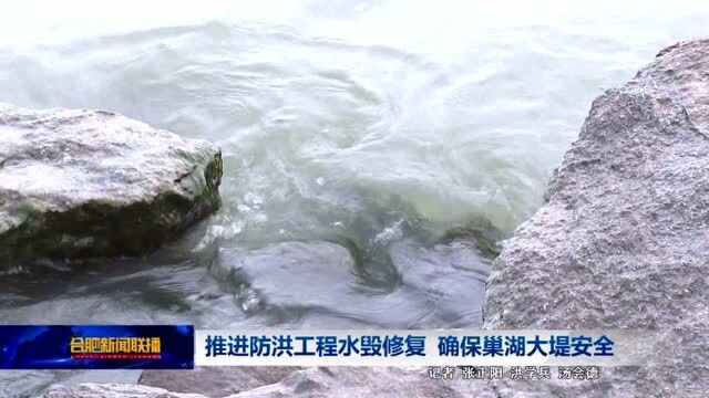 推进防洪工程水毁修复 确保巢湖大堤安全