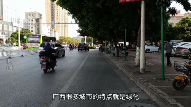 南宁叫绿城,那贵港叫什么?贵港叫“森林城市”,满眼都是绿色!