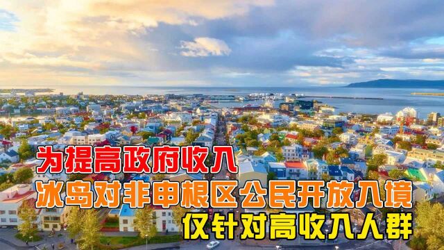 为提高政府收入,冰岛对非申根区公民开放入境,仅针对高收入人群