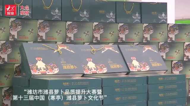 小萝卜大“品牌”!萝卜品牌展上各家争奇斗艳,你最喜欢哪个?