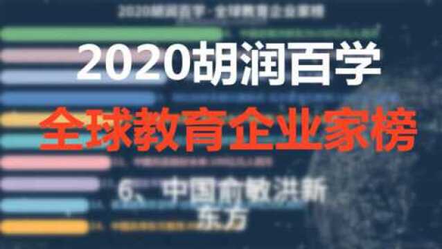 2020胡润百学全球教育企业家榜 ‐ 数据可视化