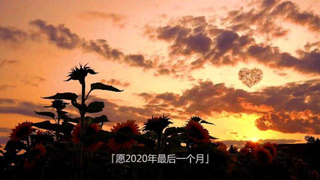 願2020年最後一個月所念皆所願所求皆所得接下來的日子一切順利