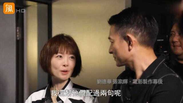 刘德华成名曲《冰雨》,MV女主角竟是鲁豫配音?这声音太酥了!