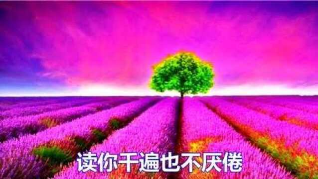 一首经典情歌《读你》