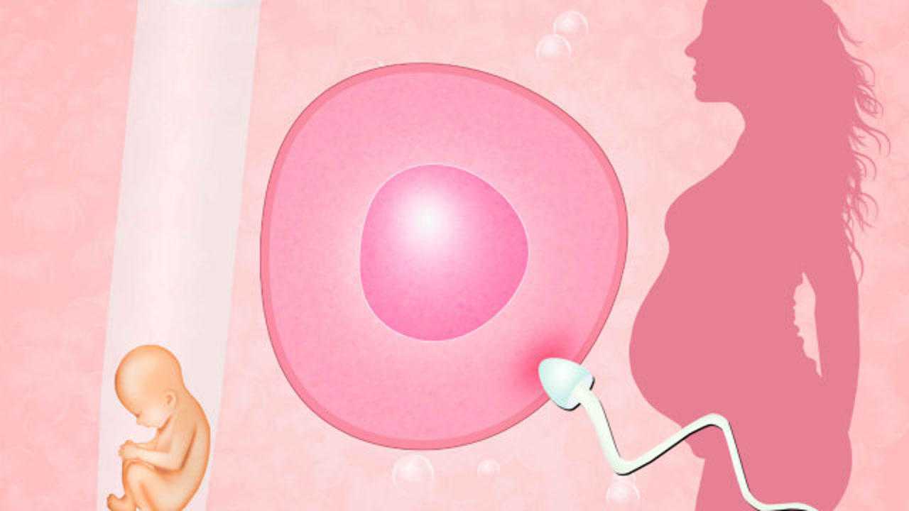 试管婴儿移植后多少天能测到是否怀孕?10天能测出来吗?