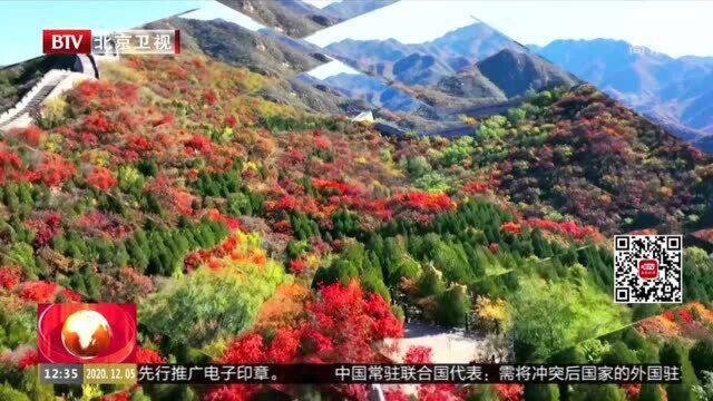 走进北京网红打卡地:西城区 天宁一号科创园