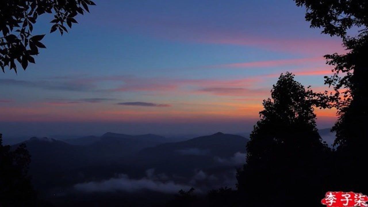 天刚亮,李子柒就带上篮子上山去了