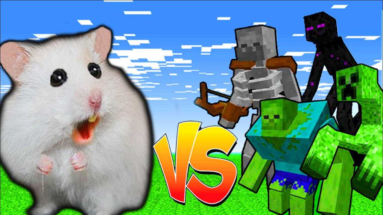 仓鼠勇闯我的世界半路遭受末影人袭击它能成功逃脱吗