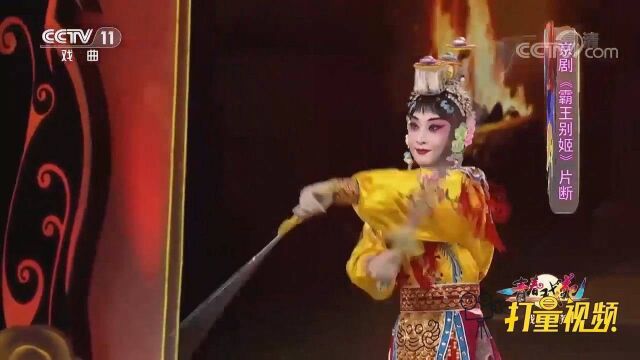 付佳演绎京剧《霸王别姬》选段,舞剑姿势飒,神形兼备