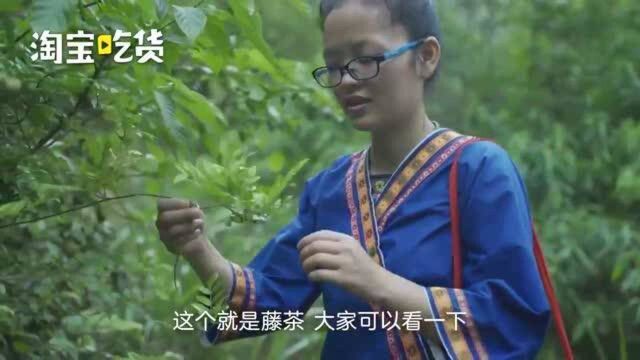 大山的馈赠!侗族人最爱喝的野生藤茶:立夏采摘,口感醇厚