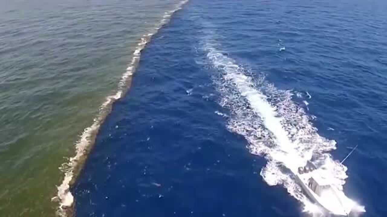 太平洋和大西洋的海水交汇却不能融合像不像最大的鸳鸯锅