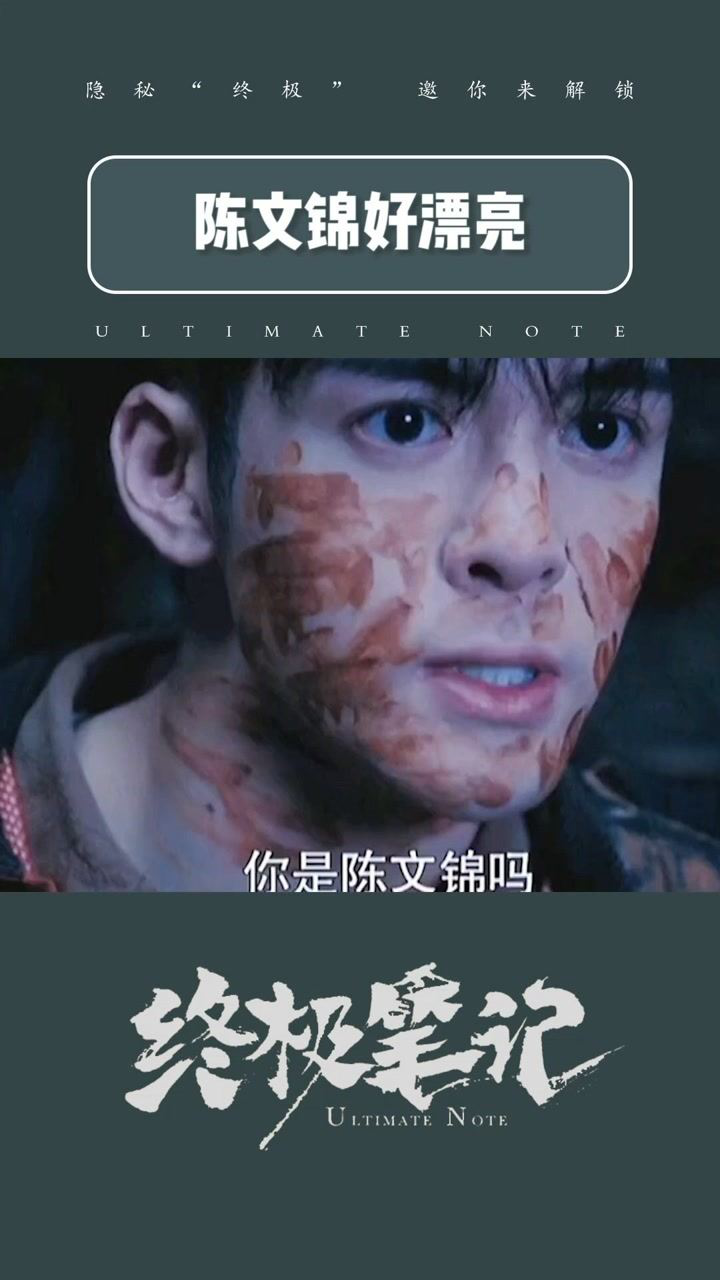 陈文锦好漂亮终极笔记