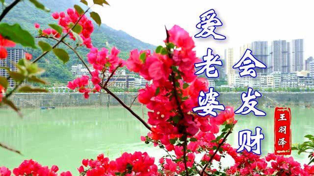 一首《爱老婆会发财》送给爱老婆的你,好运气就会来,2021发大财!