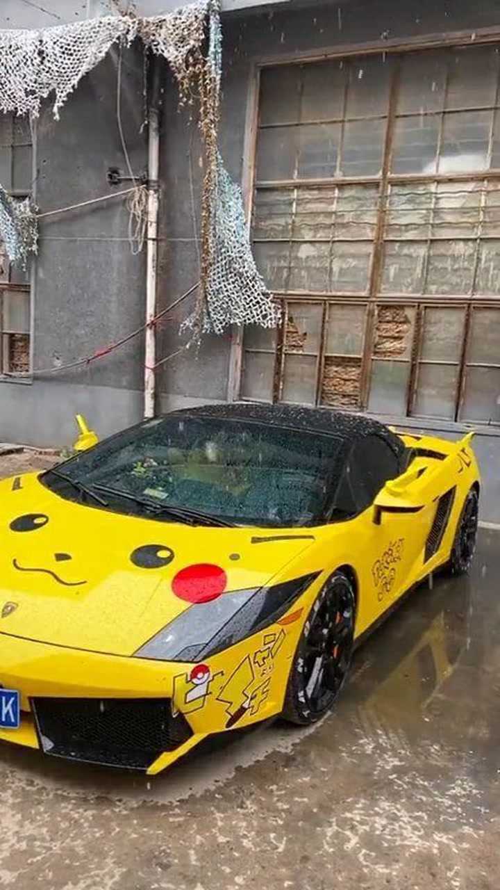 皮卡丘装扮的兰博基尼小牛可爱到爆