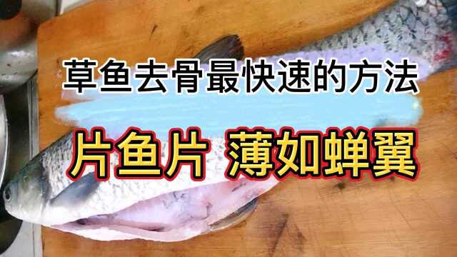 珠海老渔民的去鱼骨最快的方法,片出来的鱼片薄如蝉翼,一学就