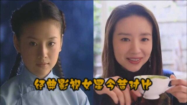 十几位经典影视女星今昔对比,“小龙女”陶虹深入人心,万人迷陈好当之无愧