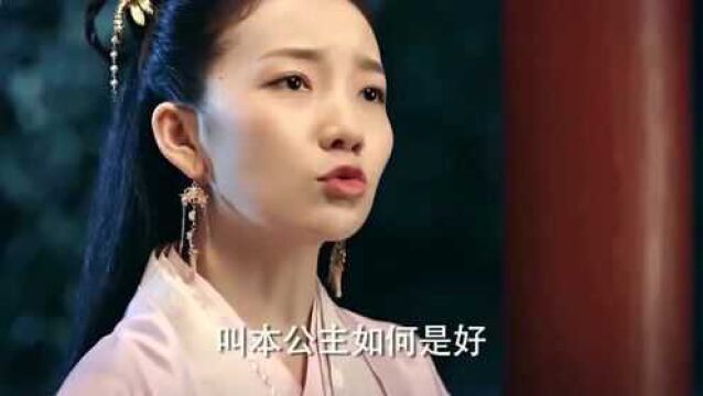 愿我如星君如月:调皮的安乐公主,终于收获了自己的爱情!