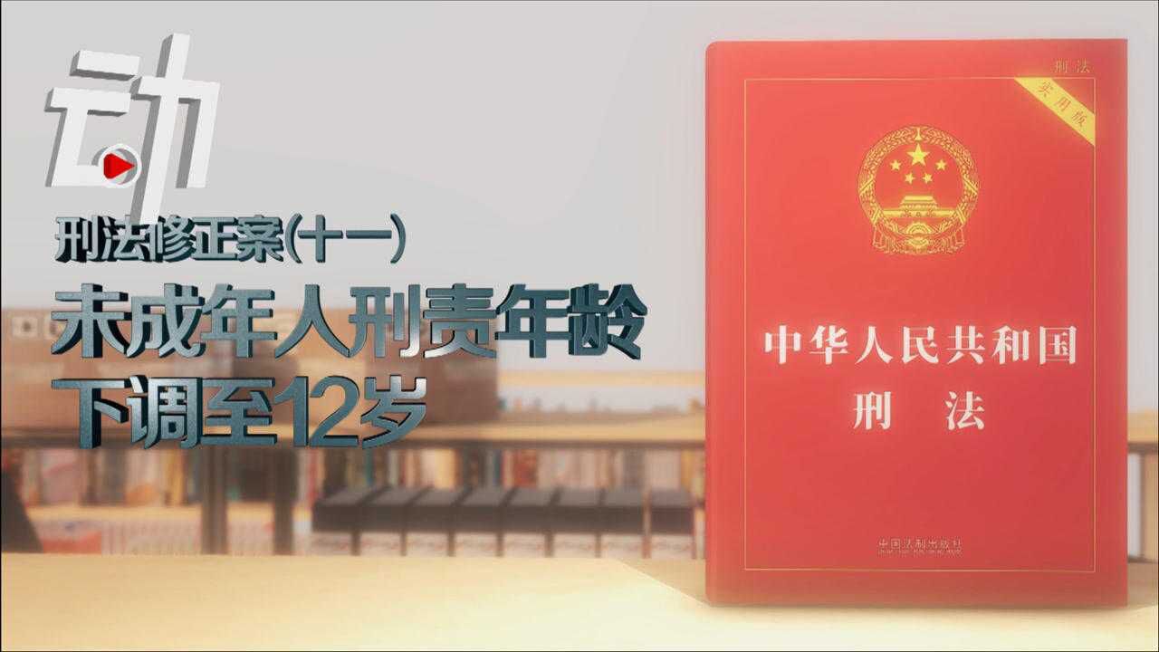 动画解读刑法最新修改内容：未成年人刑责年龄下调至12岁高清1080p在线观看平台腾讯视频 7451