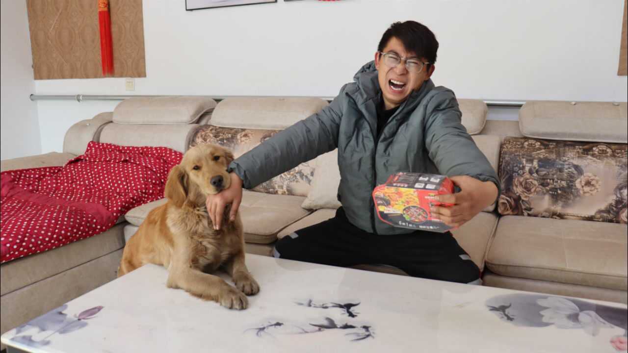 金毛严重的护食,为了争抢吃的却咬住主人的手不放开,这可咋办?