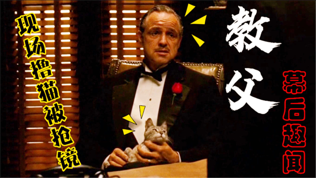 教父幕后影帝现场撸猫被抢镜2代教父接戏前职业很羞涩