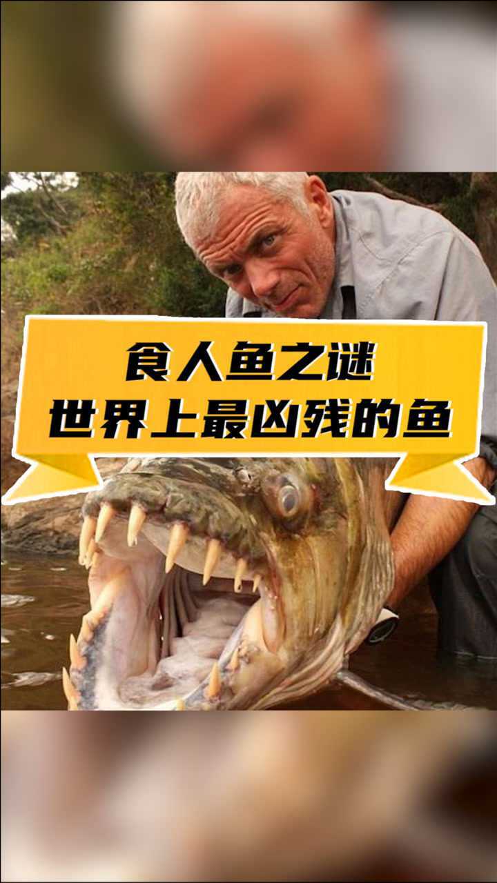 食人魚之謎你知道嗎?_騰訊視頻