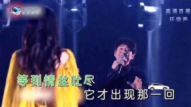 天下有情人周华健&张碧晨ktv