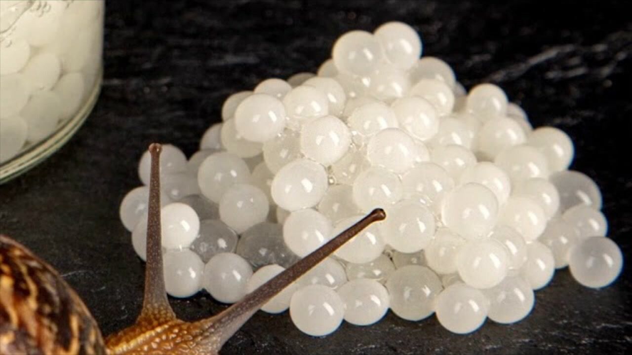 这种白色的"鱼子酱",一斤就要一万块,却不是来自鱼!