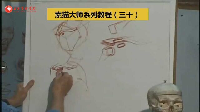 大师人体结构素描教程(30):看完零基础也学得会