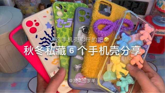 小夏同学来啦|秋冬私藏的6个手机壳分享