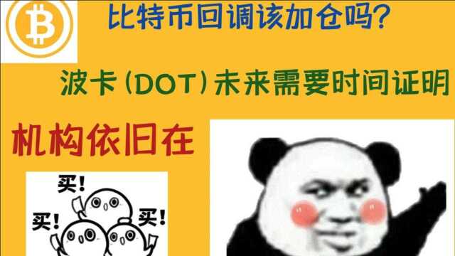 比特币回调该加仓吗?波卡(DOT)未来是要靠时间来证明的