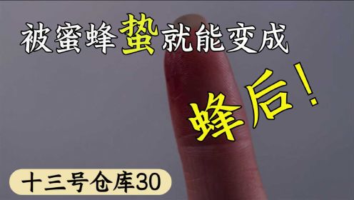 《十三号仓库》第30期，法老用蜜蜂的荷尔蒙做出来的蜂巢，可以奴役群臣！