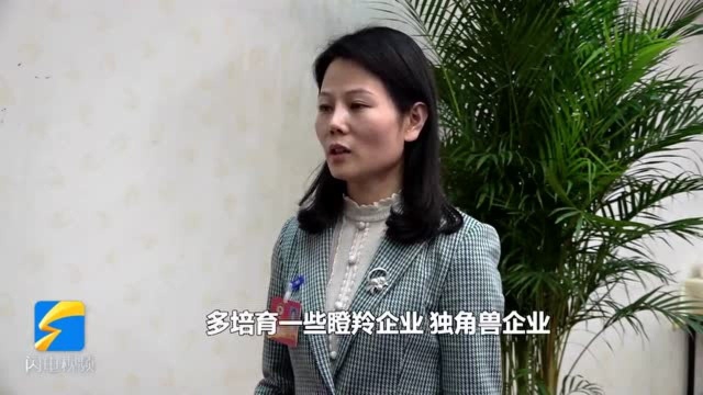 36秒|枣庄市政协委员龙晓华:加快融入“双循环” 推进新时代现代化强市建设