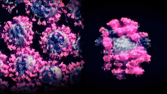 新冠病毒究竟长什么样?首个3D图像曝光:像一颗残败不堪的星球