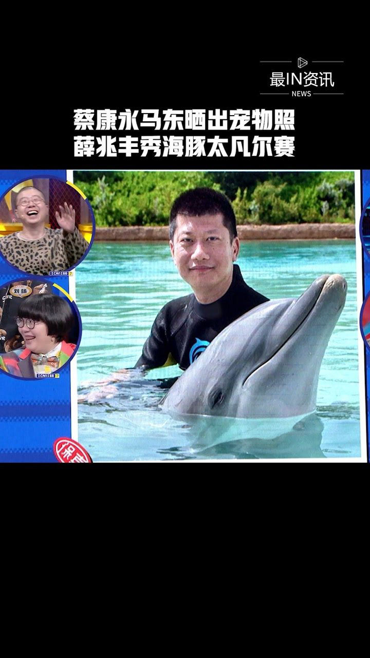 薛兆丰宠物海豚图片