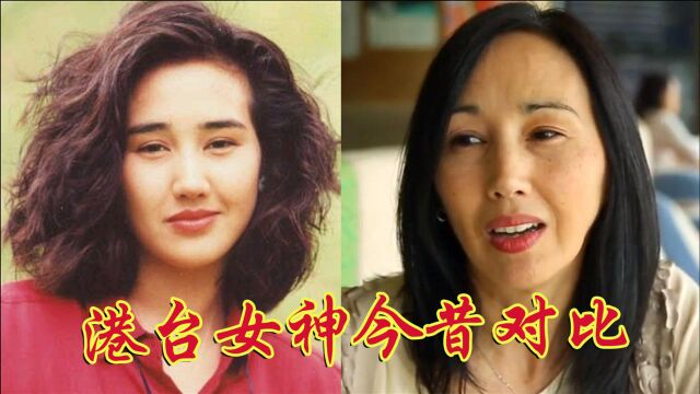 港台女神今昔对比,柏安妮“断崖式”衰老,一代女神终究抵不过岁月流年