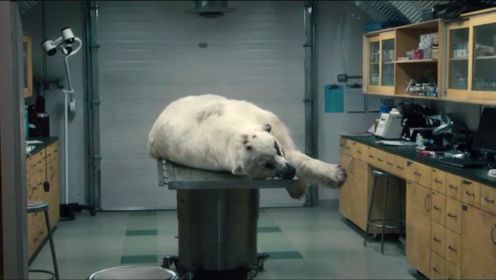 北极远古生物解冻，被北极熊当成了食物，一场灾难开始，《解冻》
